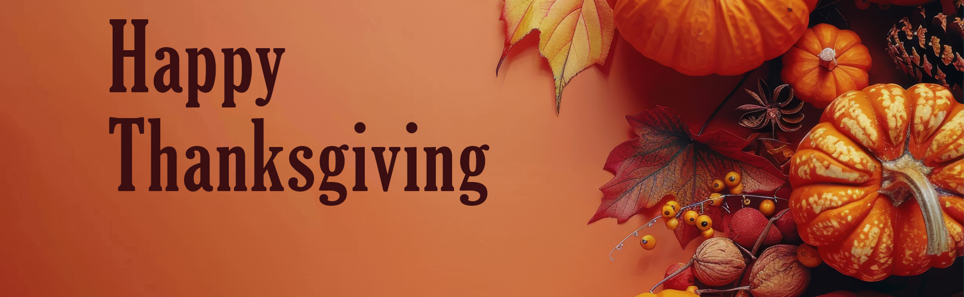 collection of mini pumpkins, leaves and pine cones